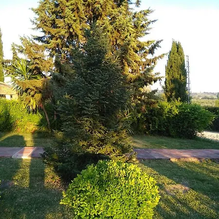 Casa Lola